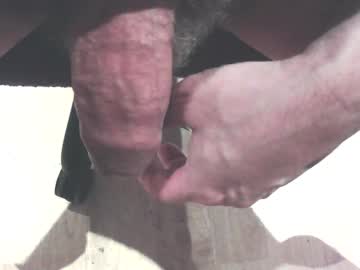 hammerhard1