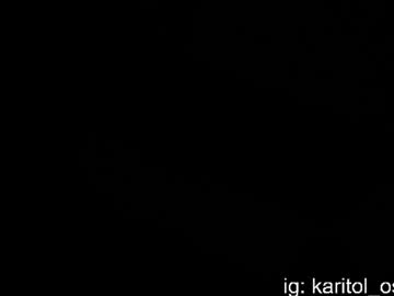 katt_lover
