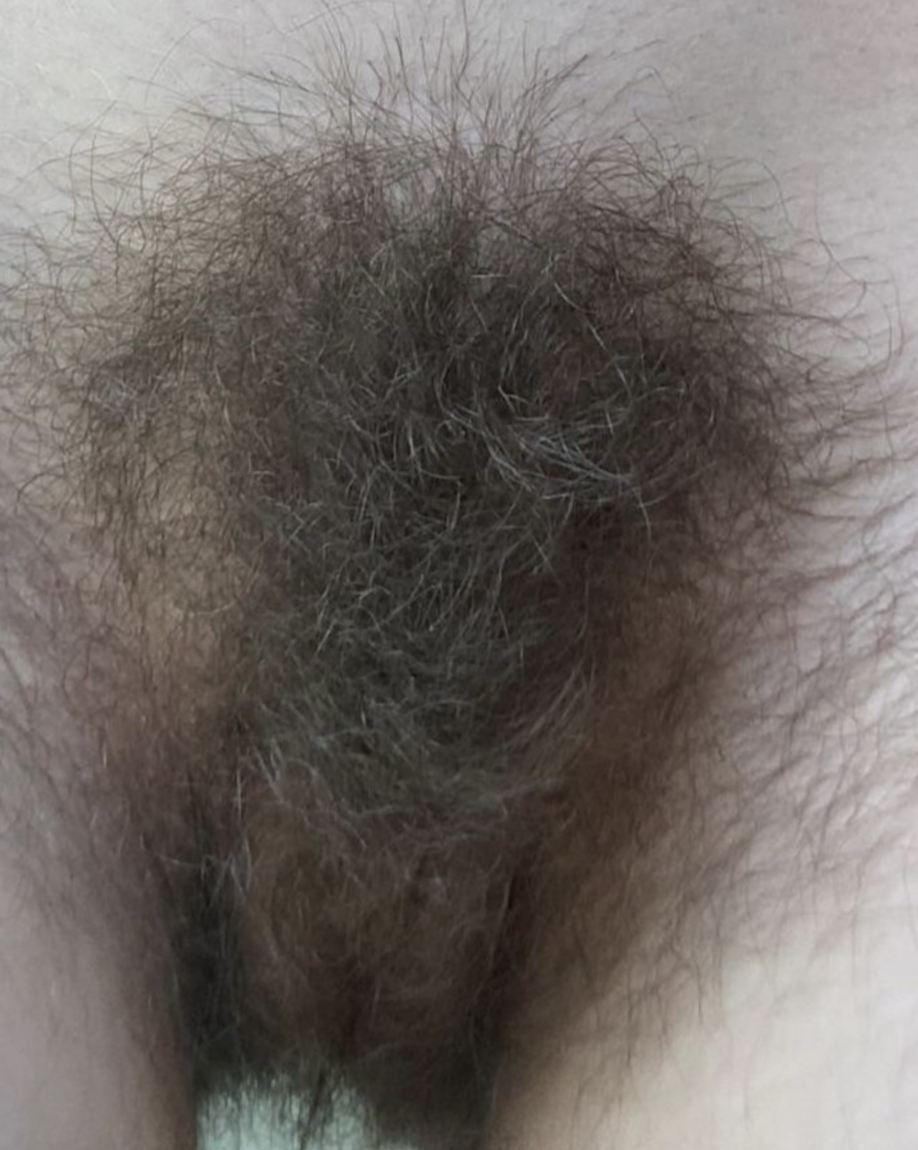 My Favorite Hairy Pussies #17 — 27