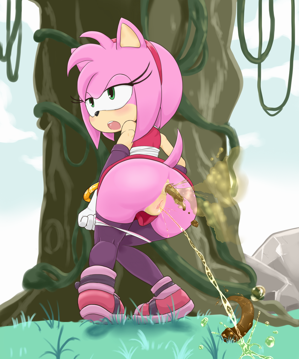 Amy Rose Farting and Pooping — 20