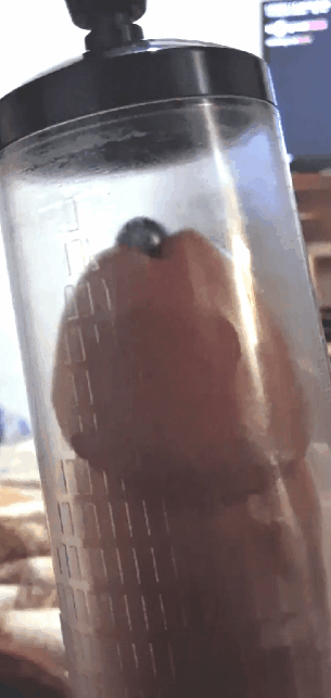 Cock Sounding — 18